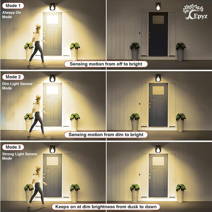 Solar Motion Sensor Wall Light